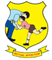 Imirisoft logo